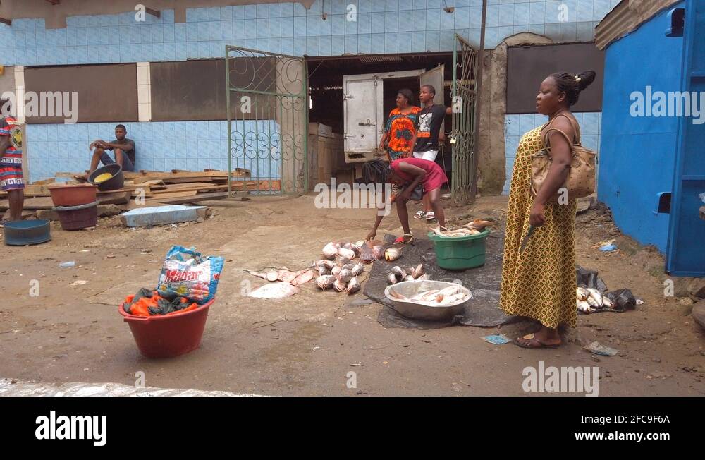 Marché au poissons de Douala / Douala Fish Market Stock Video Footage ...