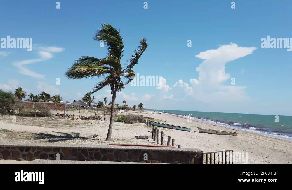 Windy Windy Day Stock Videos Footage Hd And 4k Video Clips Alamy