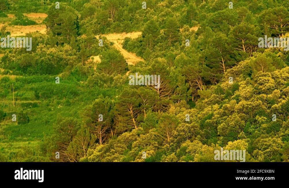 Island mljet Stock Videos & Footage - HD and 4K Video Clips - Alamy