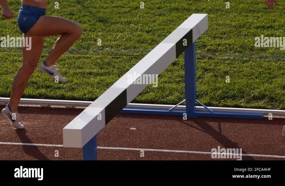 Steeplechase Stock Videos & Footage HD and 4K Video Clips Alamy