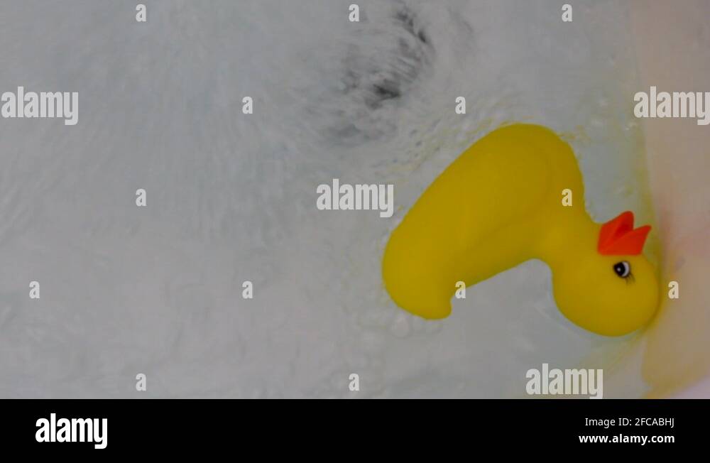 rubber ducky in a bath tub Stock Video Footage Alamy