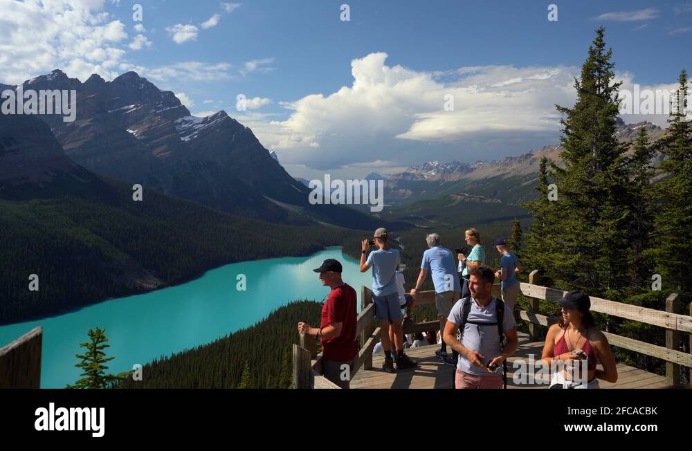 Peyto lake lookout Stock Videos & Footage - HD and 4K Video Clips - Alamy