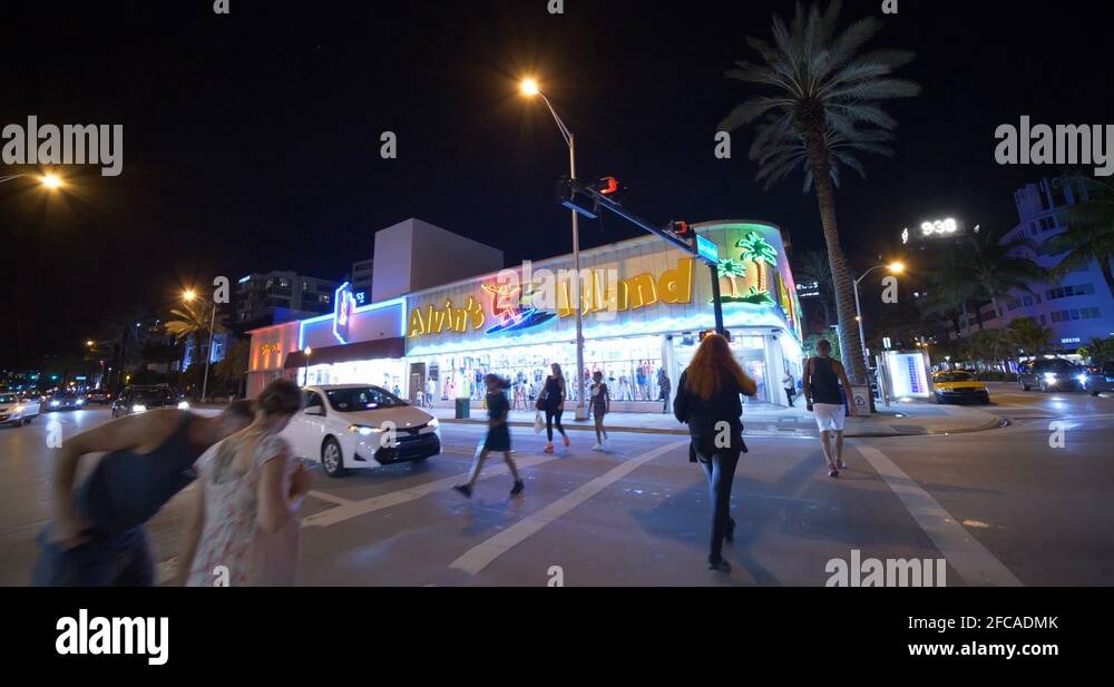 Alvin's Island | Visit St. Augustine