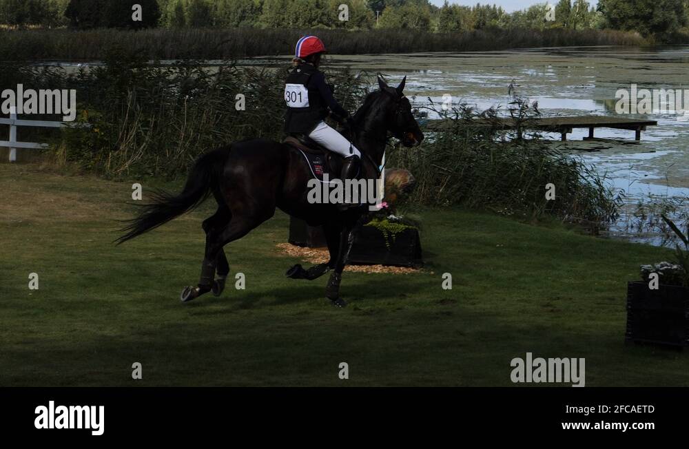 Equestrian jumping cross country Stock Videos & Footage HD and 4K