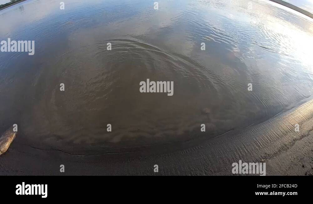 Throwing a rock Stock Videos & Footage - HD and 4K Video Clips - Alamy