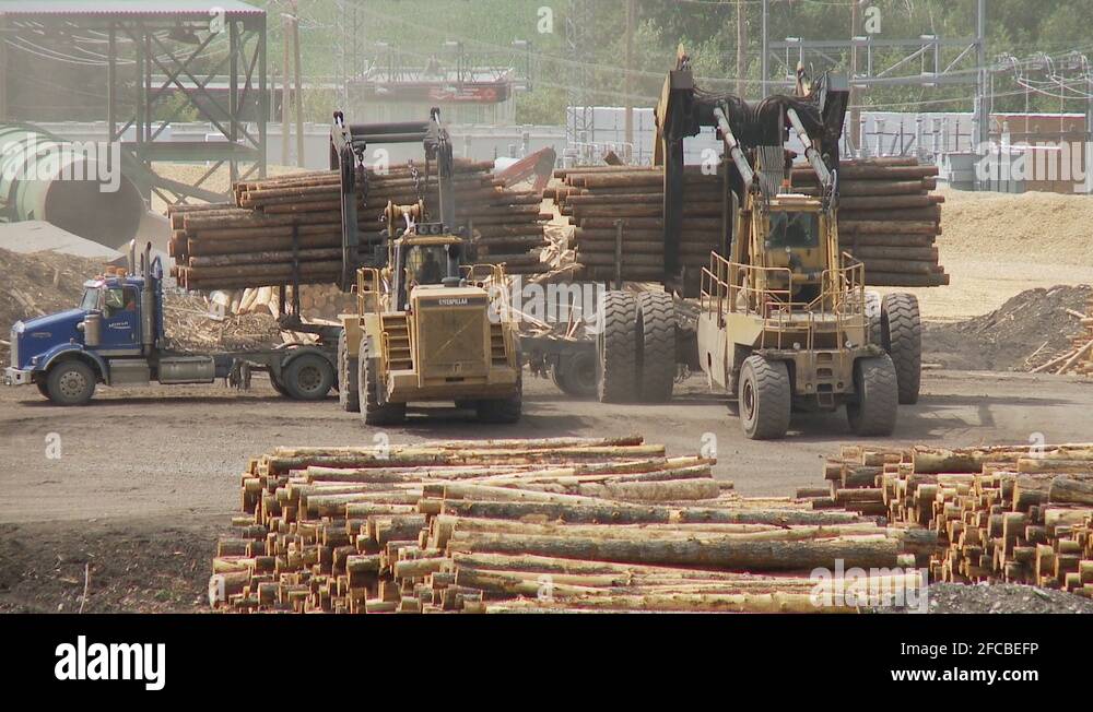 Log lifting machine Stock Videos & Footage HD and 4K Video Clips Alamy