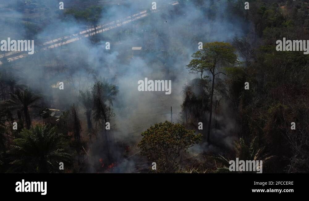 Amazon rainforest burning aerial Stock Videos & Footage HD and 4K