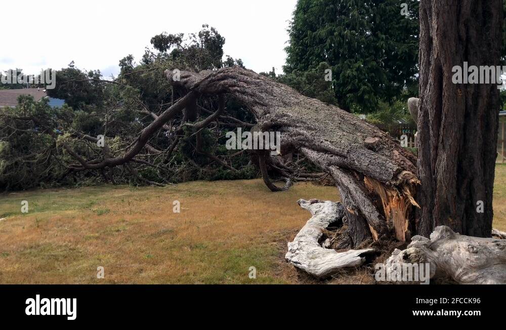 Big house damage Stock Videos & Footage - HD and 4K Video Clips - Alamy