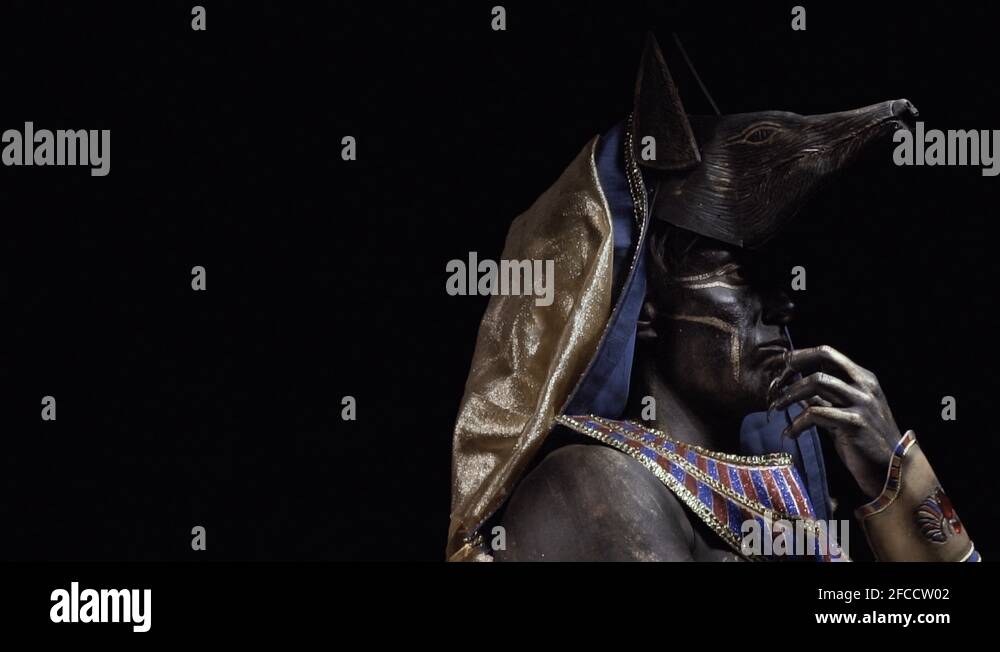 Thinking Anubis is scratching his chin, profile shot on black ...