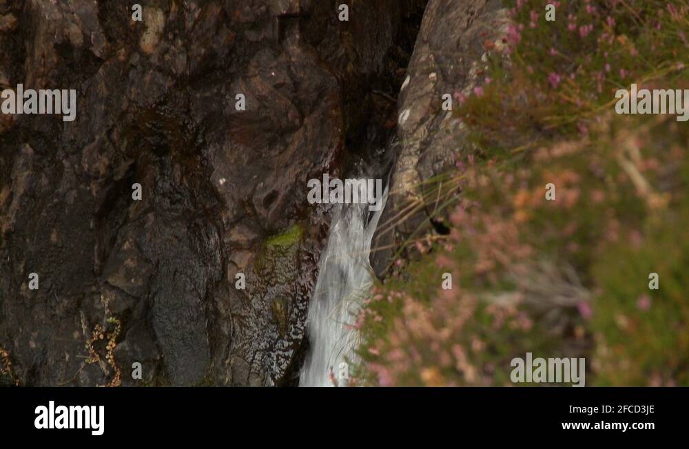 Moss erosion Stock Videos & Footage HD and 4K Video Clips Alamy