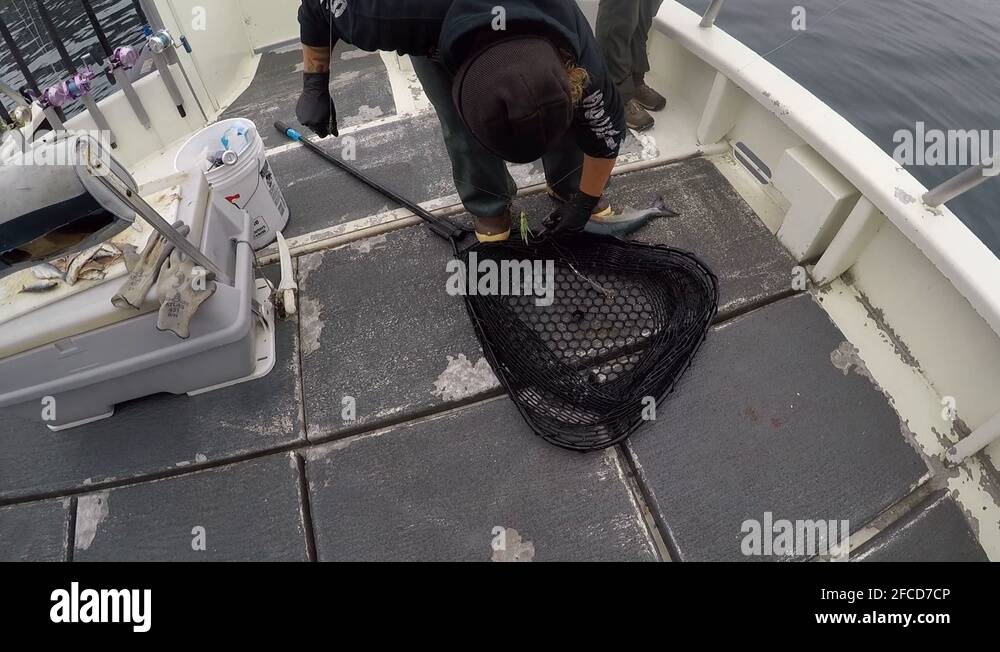 Female fisherman boat Stock Videos & Footage HD and 4K Video Clips