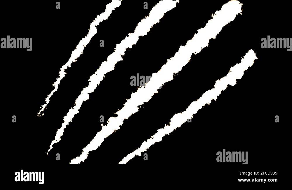 Tiger claw Stock Videos & Footage HD and 4K Video Clips Alamy