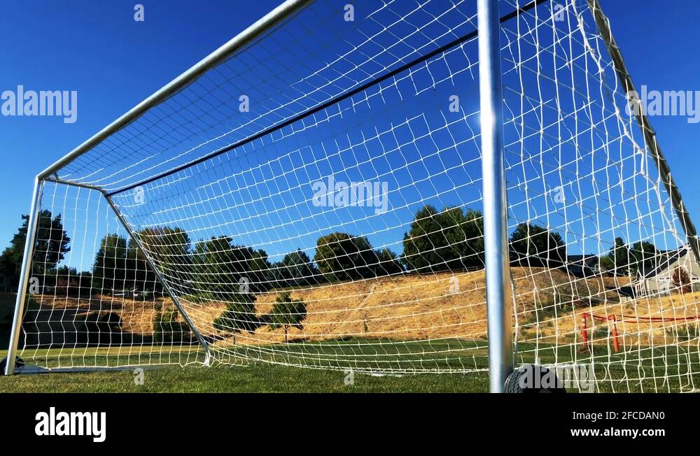 GOAL! The soccer ball is perfectly kicked and placed in the center of