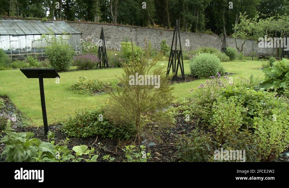 Plots plot Stock Videos & Footage HD and 4K Video Clips Alamy