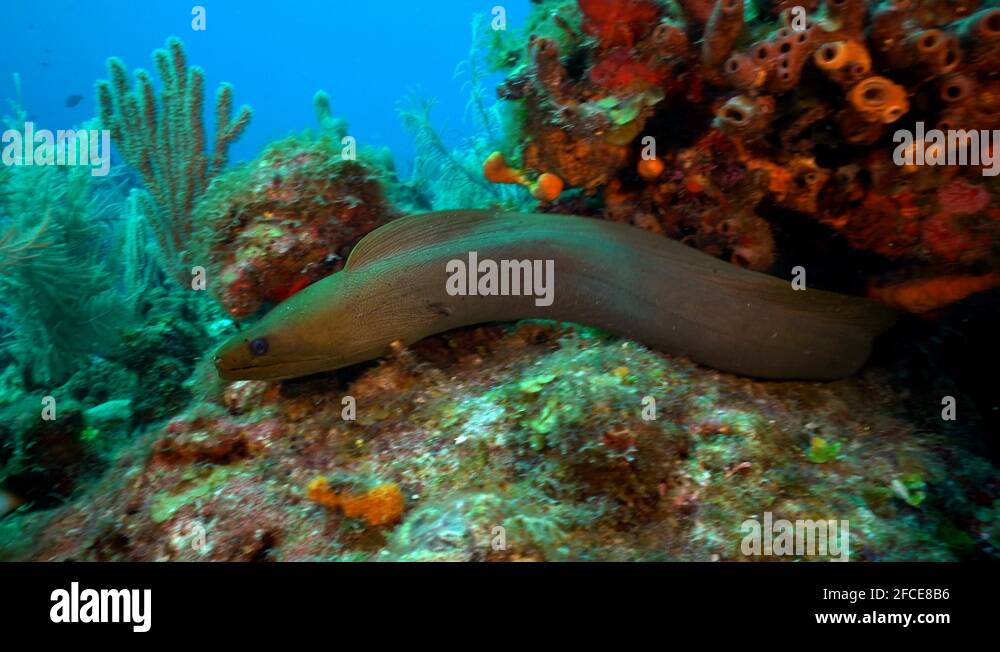 Ocean coal Stock Videos & Footage HD and 4K Video Clips Alamy