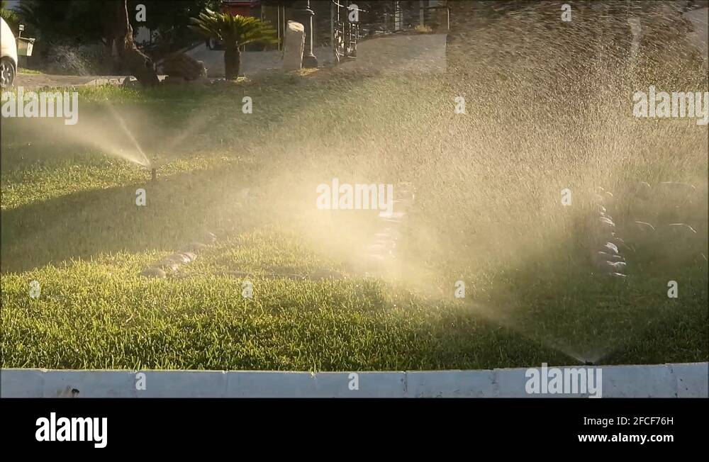 Irrigation palm trees Stock Videos & Footage HD and 4K Video Clips