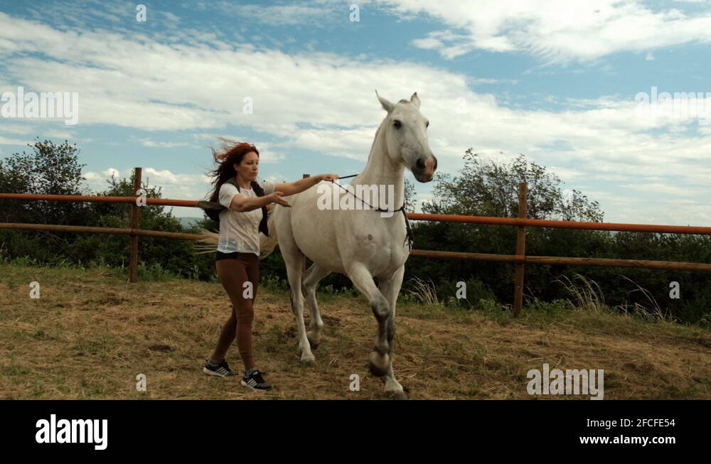 Woman horse rearing Stock Videos & Footage - HD and 4K Video Clips - Alamy