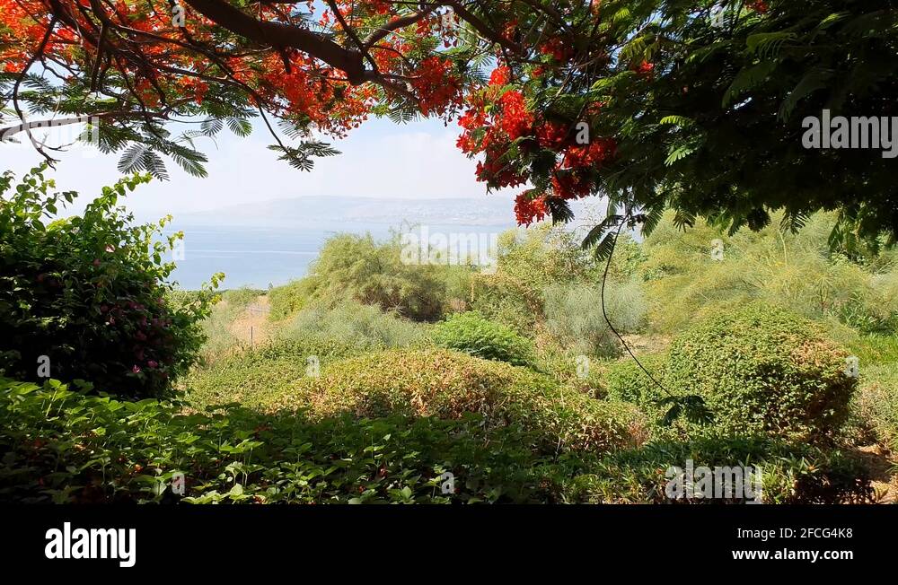 Mount eremos Stock Videos & Footage HD and 4K Video Clips Alamy