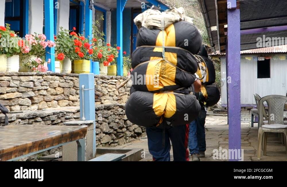 Porters carrying luggage Stock Videos & Footage HD and 4K Video Clips