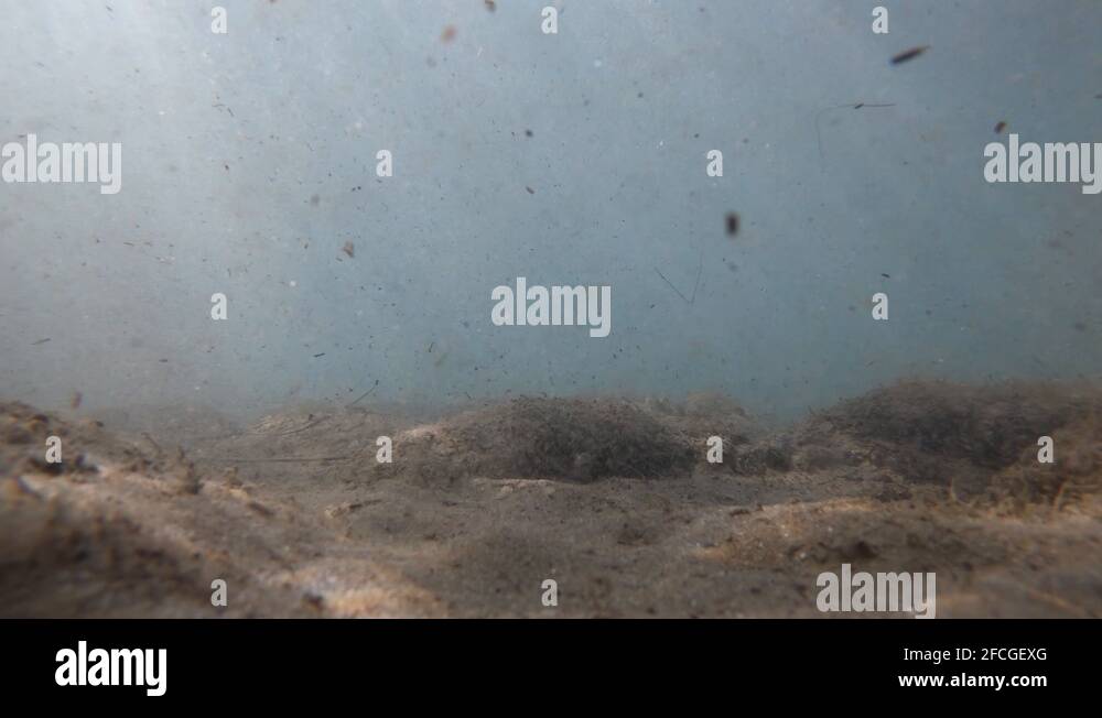 Rock Particles Falling Ground rock particles Stock Videos & Footage - HD and 4K Video Clips ...