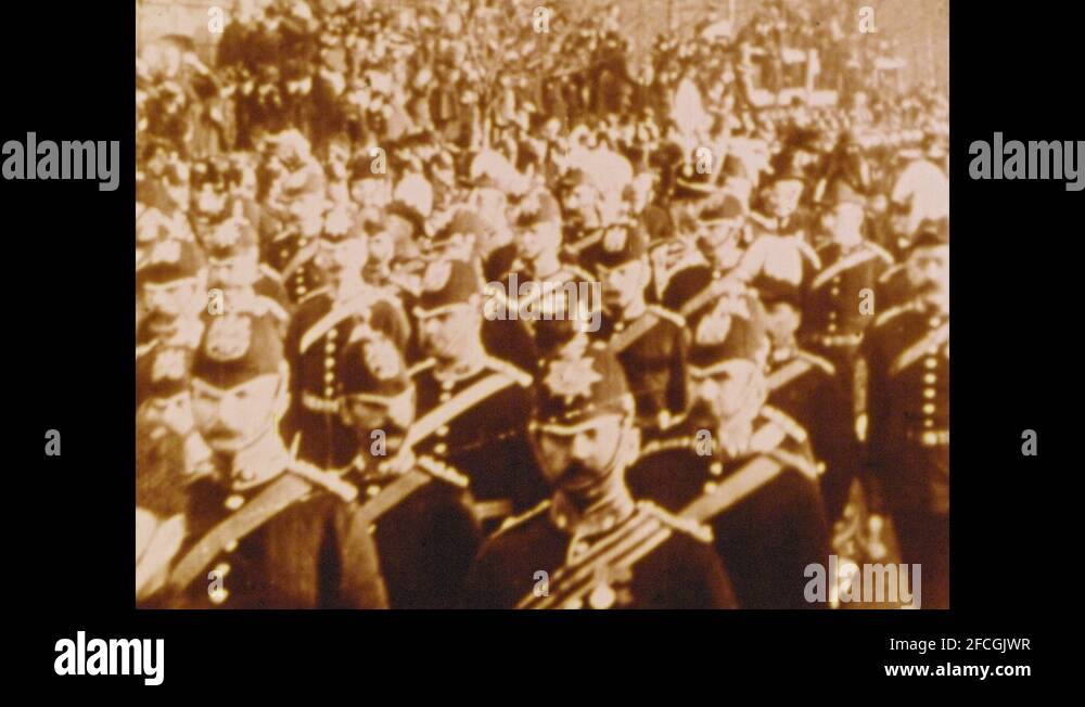 White funeral horses Stock Videos & Footage HD and 4K Video Clips Alamy