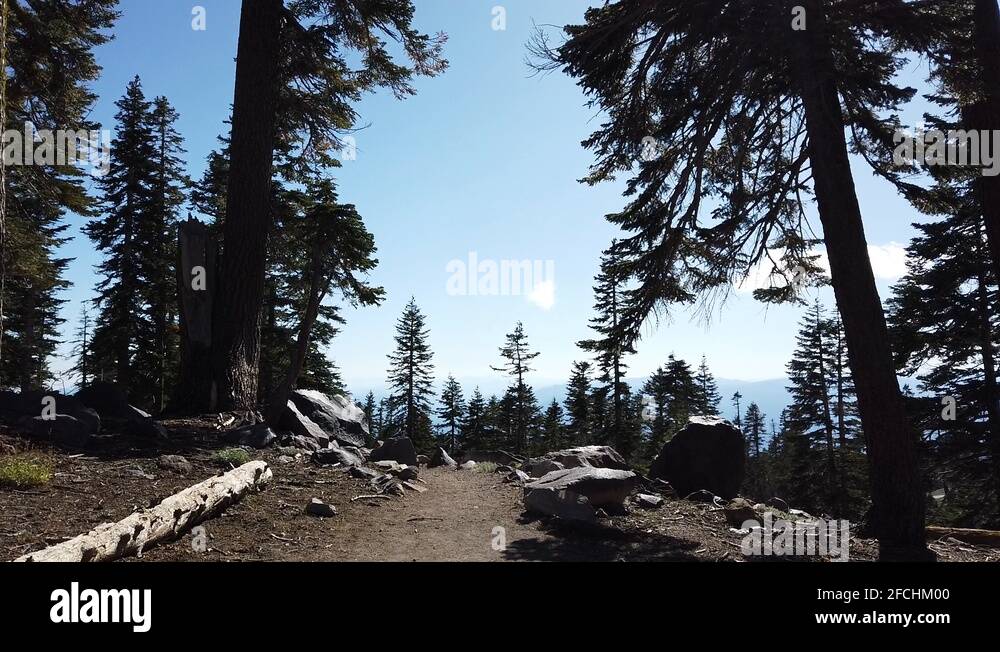 Mt shasta forest Stock Videos & Footage HD and 4K Video Clips Alamy