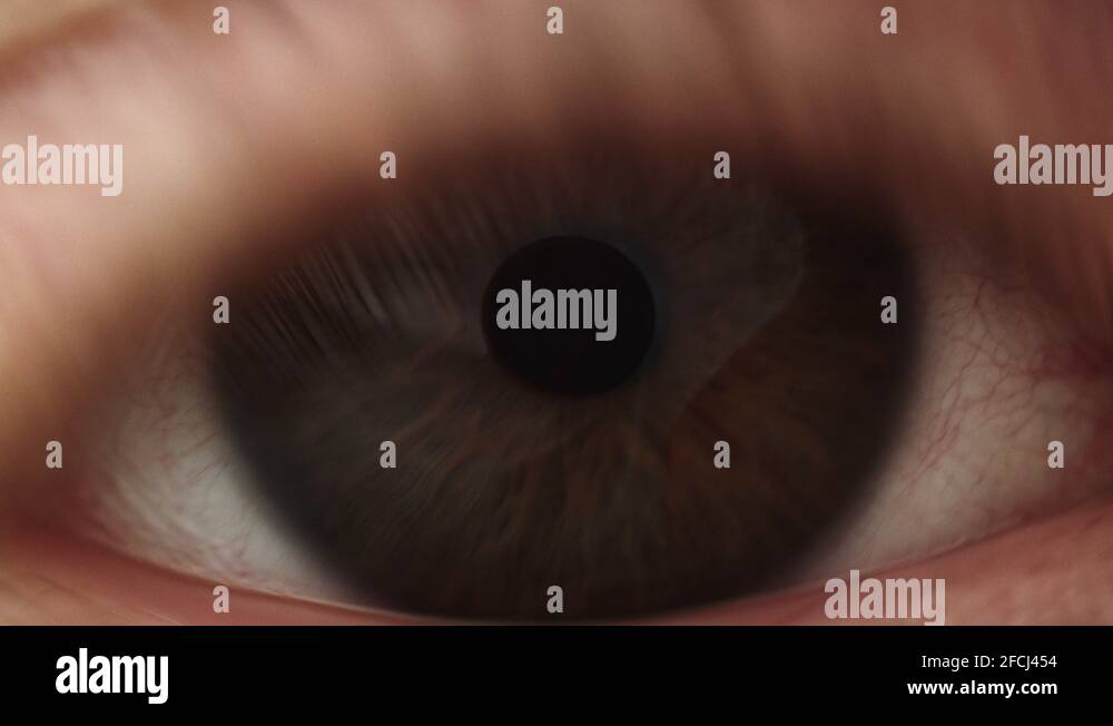 Extreme Close up of a human eye with red veins. Eye irritation Stock