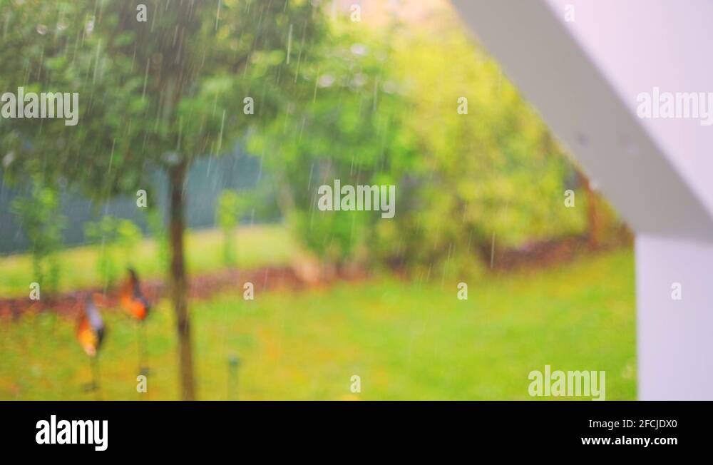 Falling camera Stock Videos & Footage - HD and 4K Video Clips - Alamy