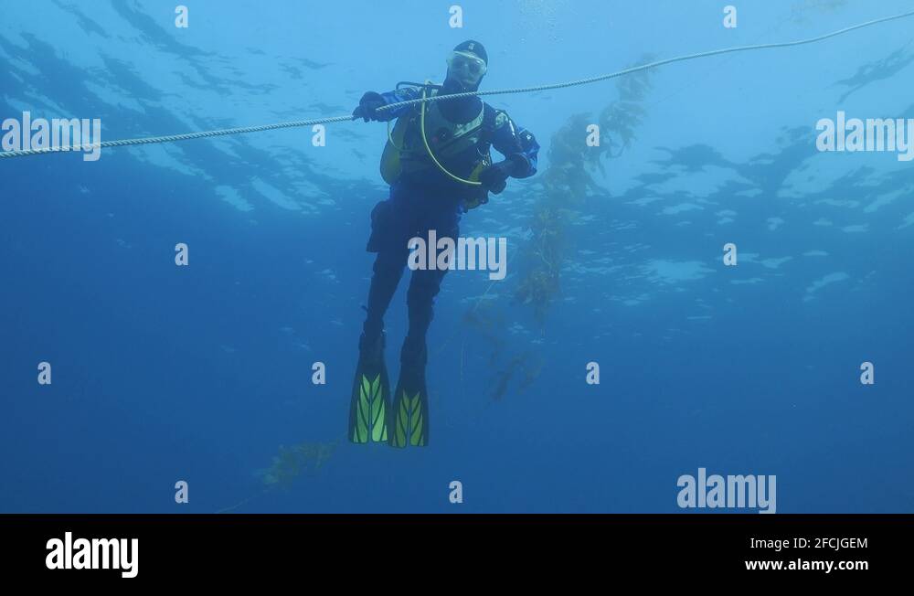 Scuba diver doing safety stop Stock Videos & Footage HD and 4K Video
