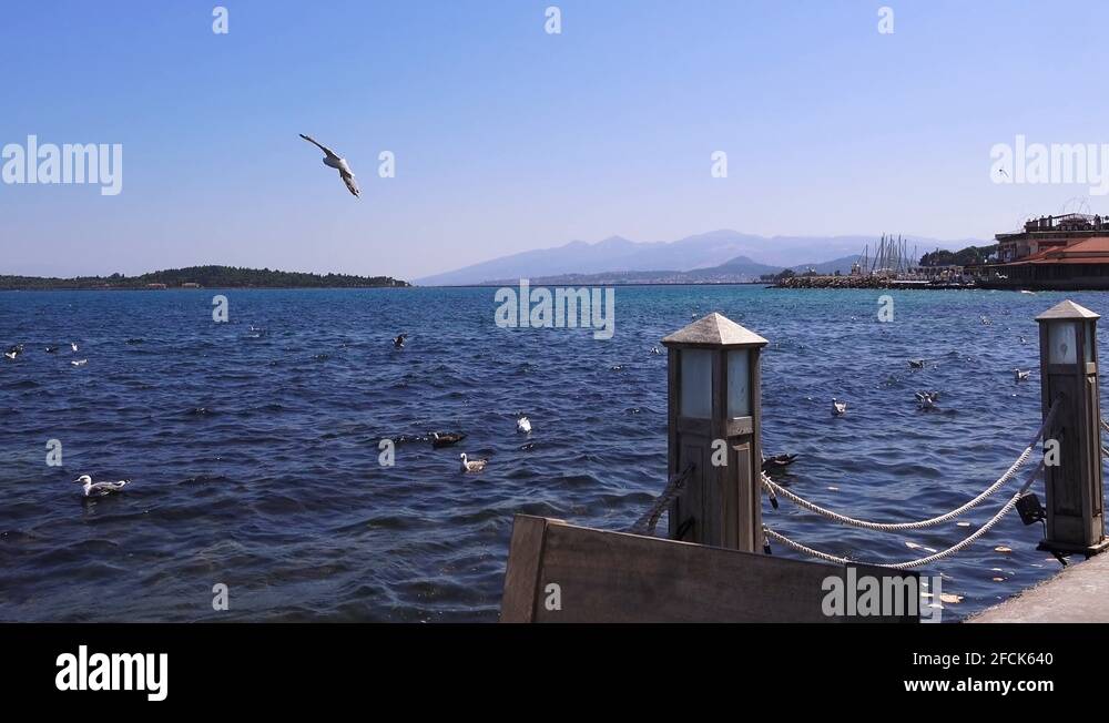 Urla Stock Videos & Footage - HD and 4K Video Clips - Alamy