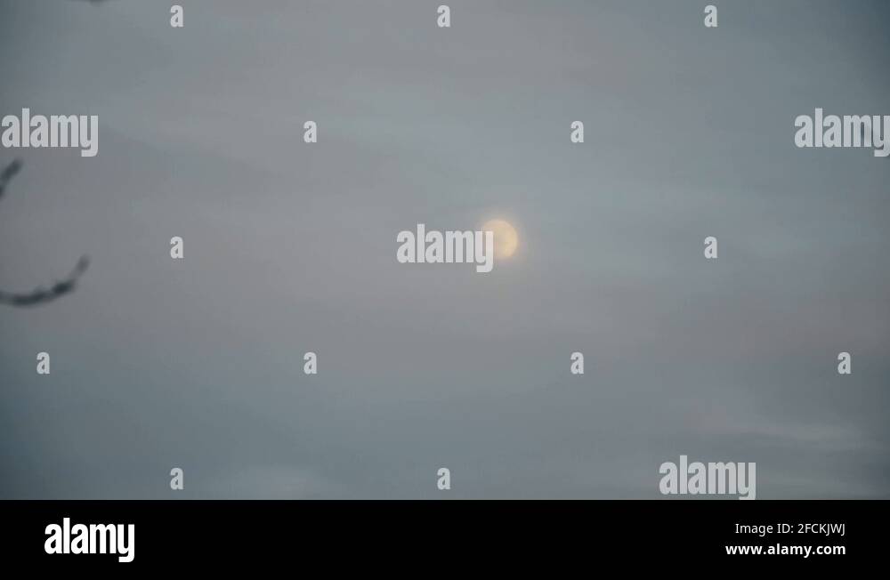 the-moon-out-in-the-day-stock-videos-footage-hd-and-4k-video-clips