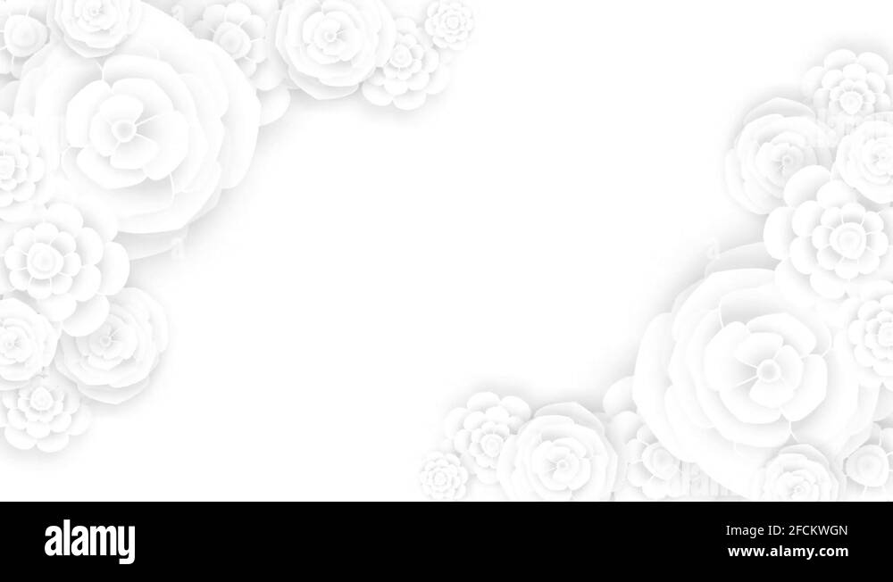 BEAUTIFUL WHITE FLOWER BACKGROUND HD Stock Video Footage - Alamy