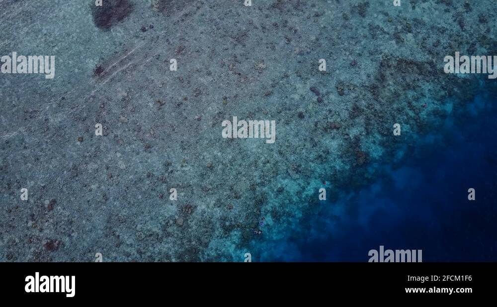 Underwater garden of eden Stock Videos & Footage HD and 4K Video Clips Alamy