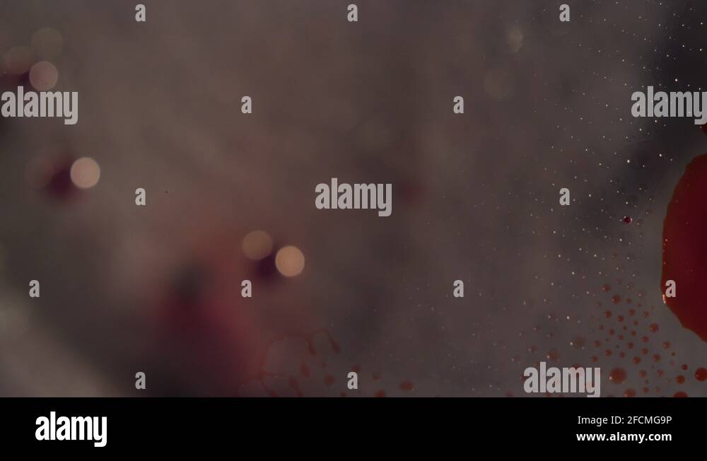 Blood splatter background Stock Videos & Footage - HD and 4K Video