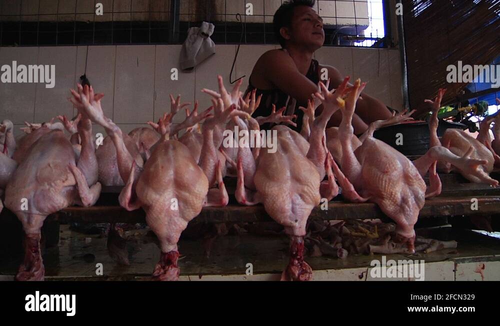 Chicken butcher Stock Videos & Footage - HD and 4K Video Clips - Alamy