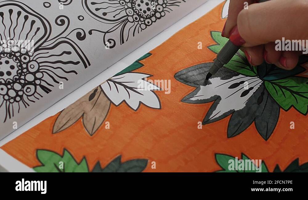 Coloring page angle Stock Videos &amp; Footage - HD and 4K Video Clips - Alamy