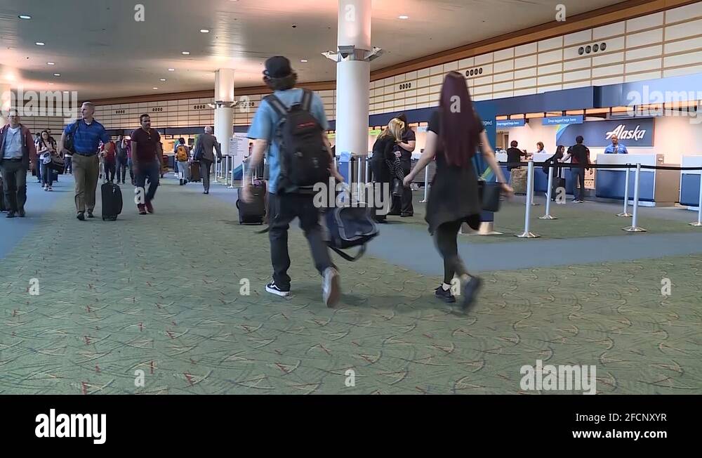 Ticket counter airplane Stock Videos & Footage HD and 4K Video Clips