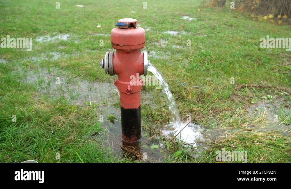Green fire hydrant Stock Videos & Footage HD and 4K Video Clips Alamy