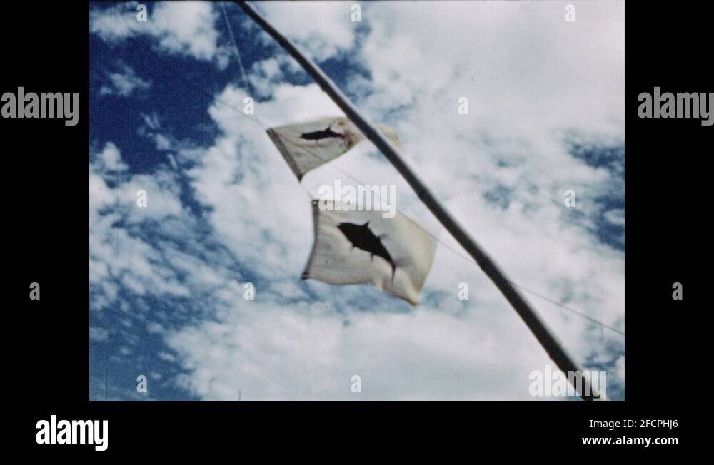 1950s Fish flags wave in breeze. Fishing boat, man drags large tuna