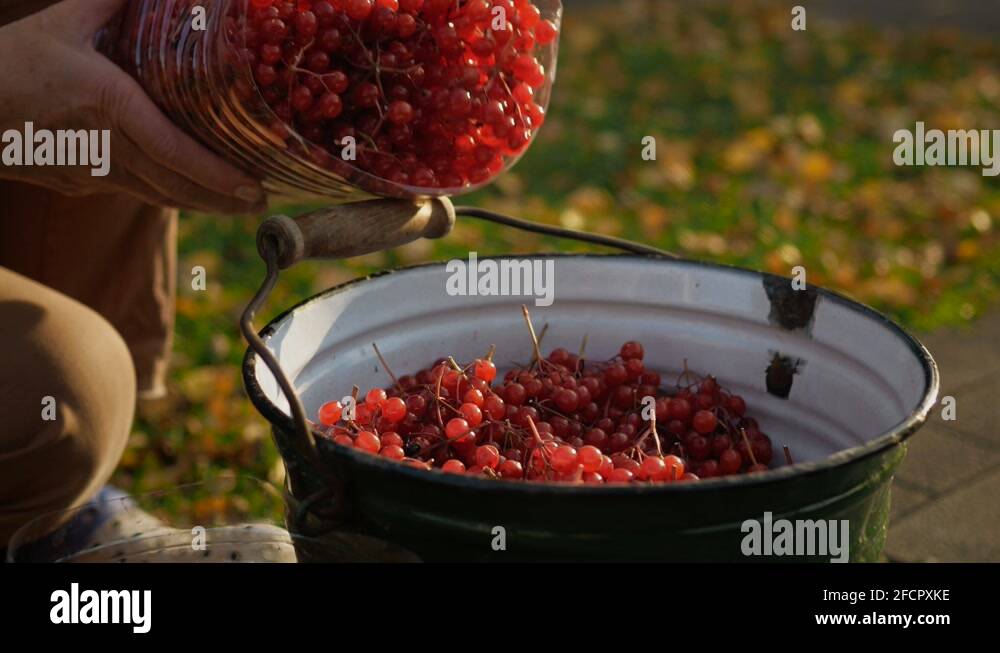 Iron bucket Stock Videos & Footage HD and 4K Video Clips Alamy