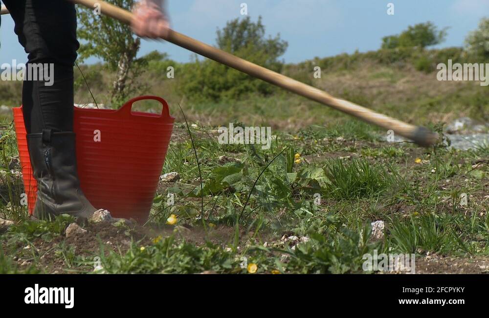 Ground scrape Stock Videos & Footage HD and 4K Video Clips Alamy