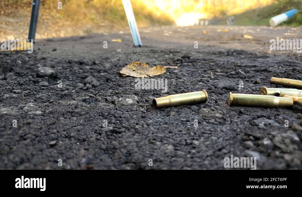 Rifle shells Stock Videos & Footage - HD and 4K Video Clips - Alamy