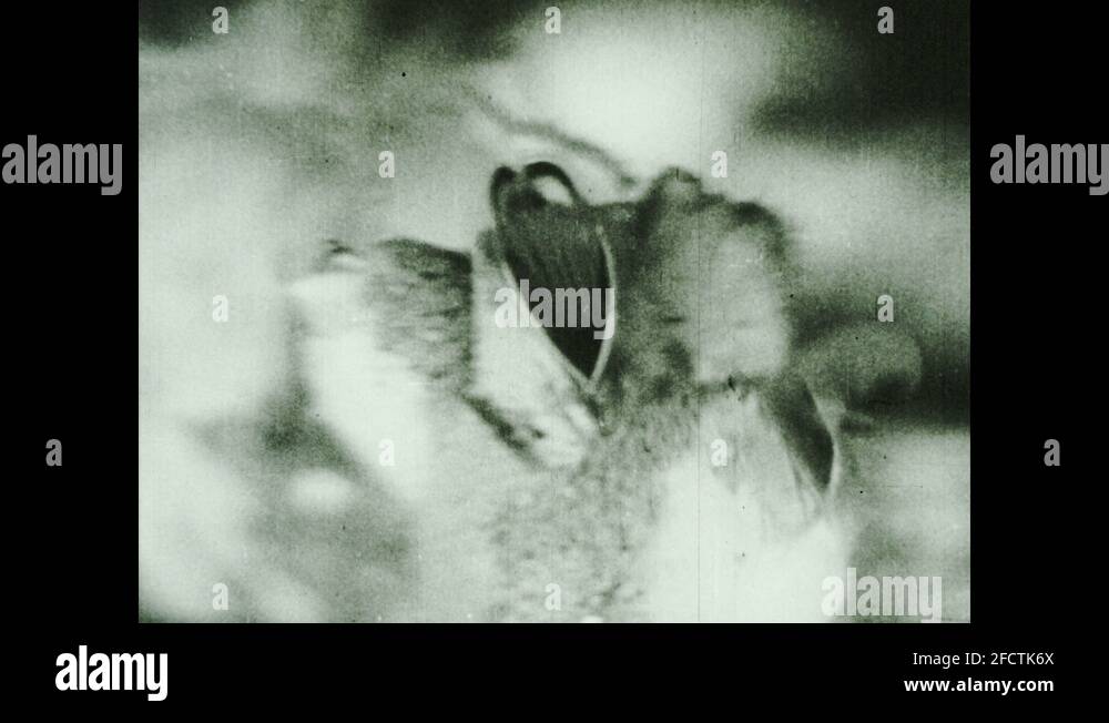 Water mouth geography Stock Videos & Footage HD and 4K Video Clips