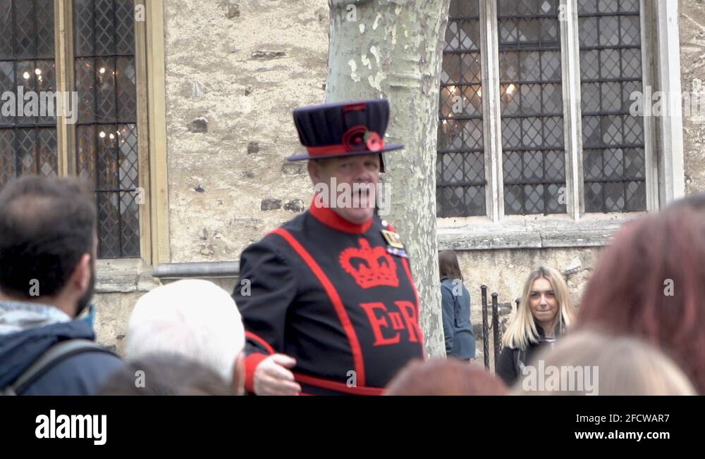 British guard with tourist Stock Videos & Footage HD and 4K Video