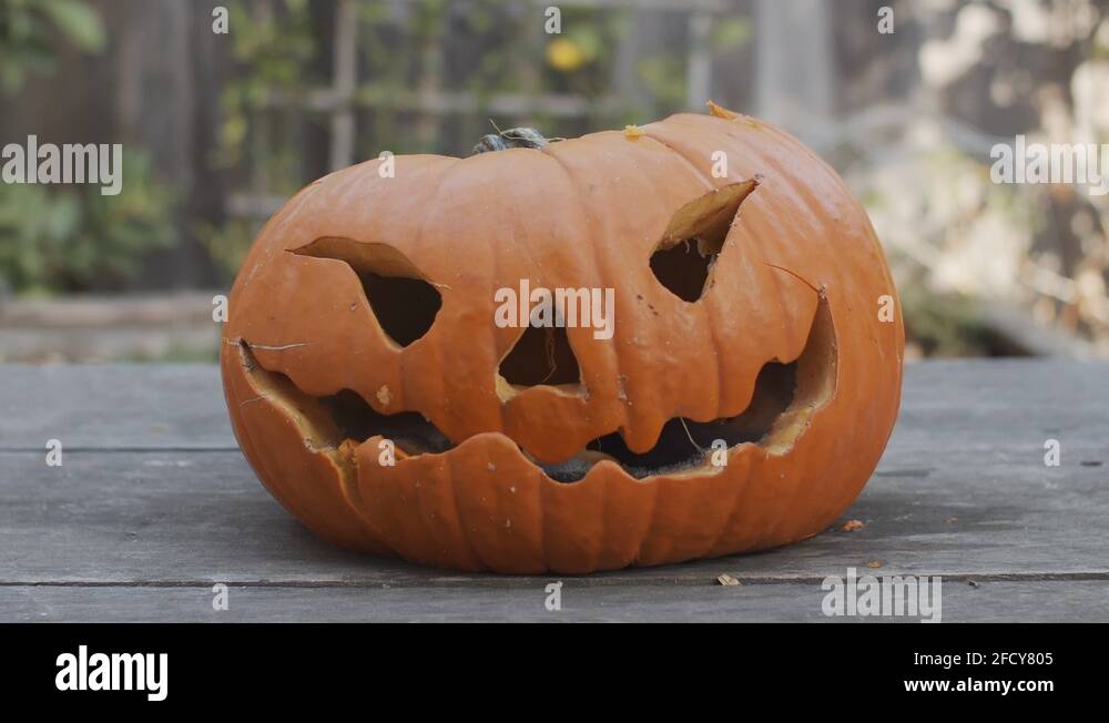 Rotten jack olantern Stock Videos & Footage HD and 4K Video Clips Alamy