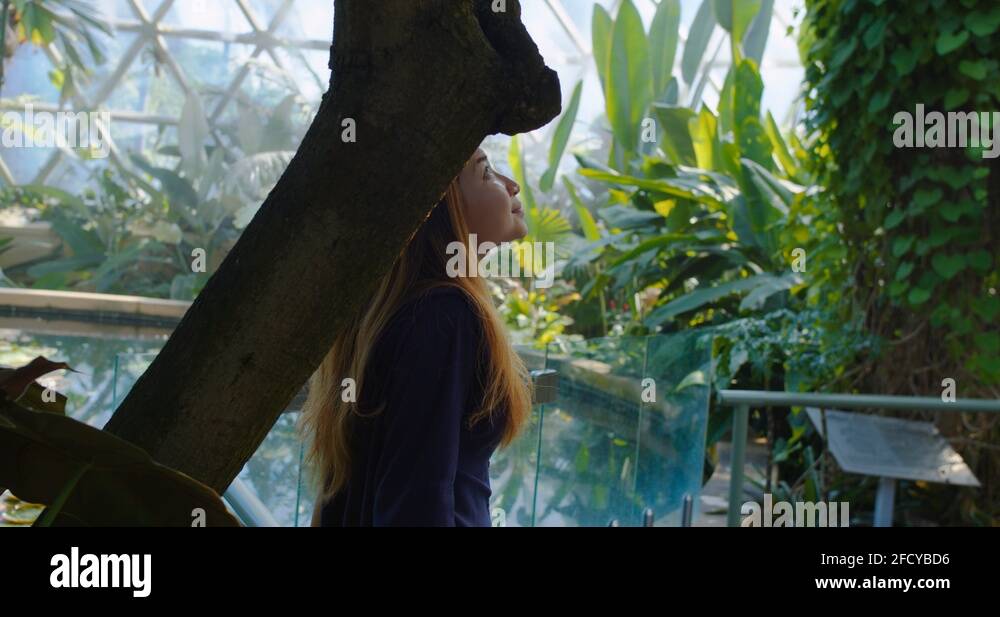 Asia flora study Stock Videos & Footage - HD and 4K Video Clips - Alamy