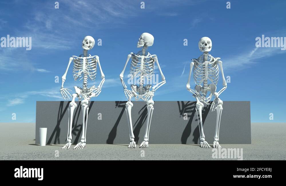 3d skeleton sitting down Stock Videos & Footage - HD and 4K Video Clips ...