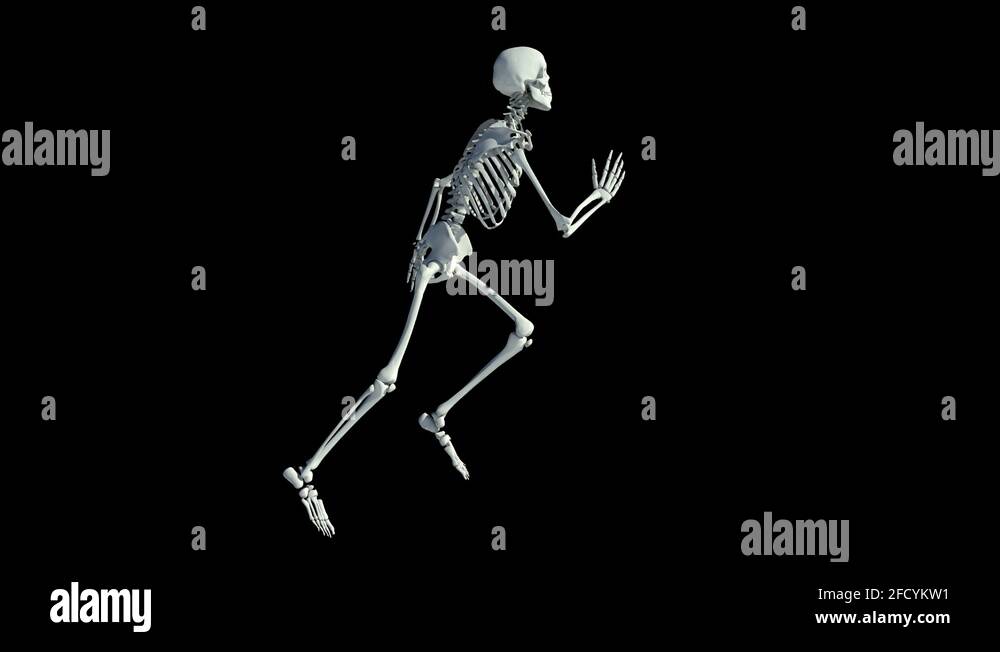 Skeleton running athlete Stock Videos & Footage HD and 4K Video Clips