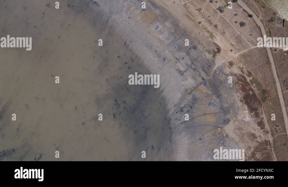 Mud baths Stock Videos & Footage HD and 4K Video Clips Alamy