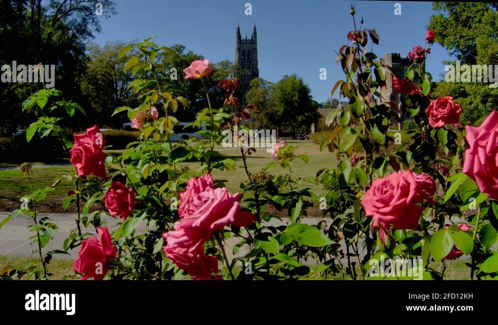Duke chapel Stock Videos & Footage HD and 4K Video Clips Alamy
